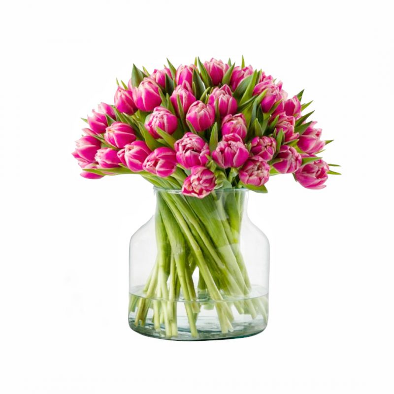 Rosa dobel tulipaner - liten - Bilde 2
